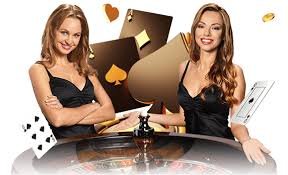 146bet
