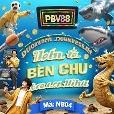146bet